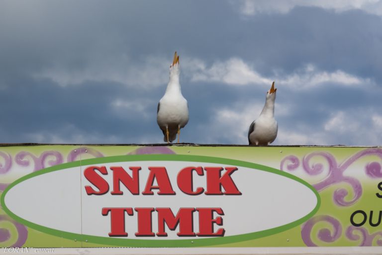 Pentax objectif smc DA 50-200mm ED WR