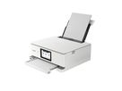 Canon PIXMA TS8751 White