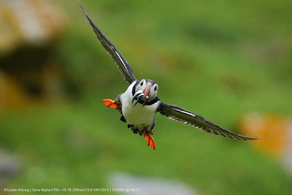 Sony Alpha 6700 Set black 18-135mm