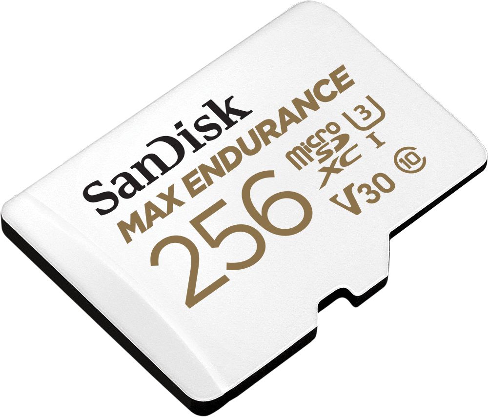 SanDisk microSDXC Max Endurance 256GB