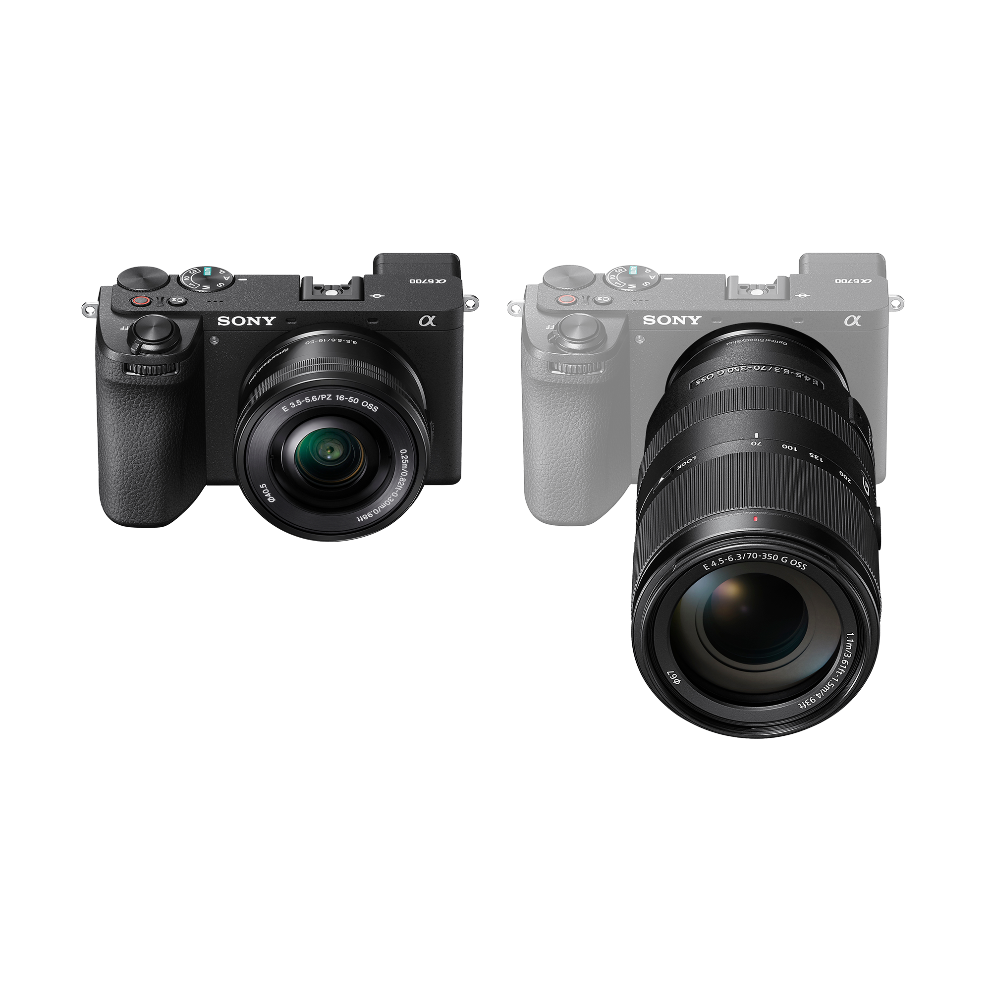 Sony Alpha 6700 Wildlife Hard Bundle
