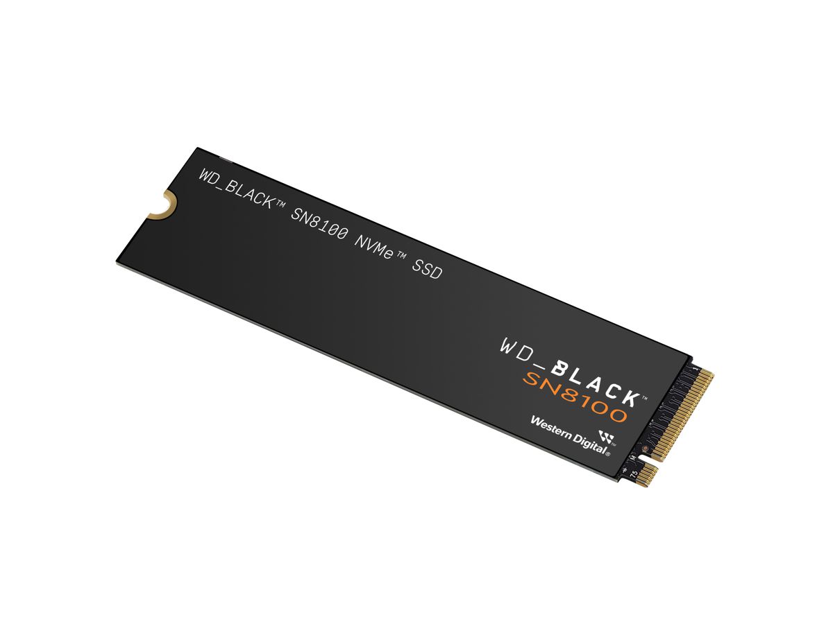 WD Black SN8100 NVMe SSD 4TB