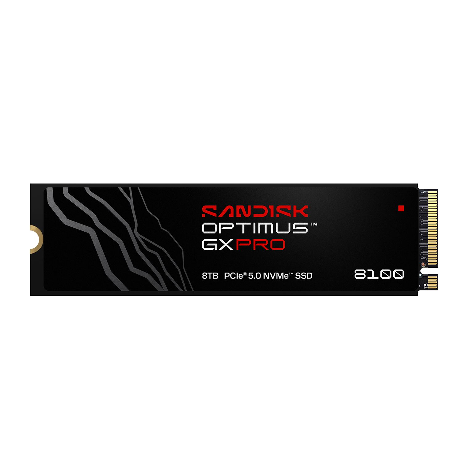 SANDISK Optimus GX PRO 8100 SSD 4TB