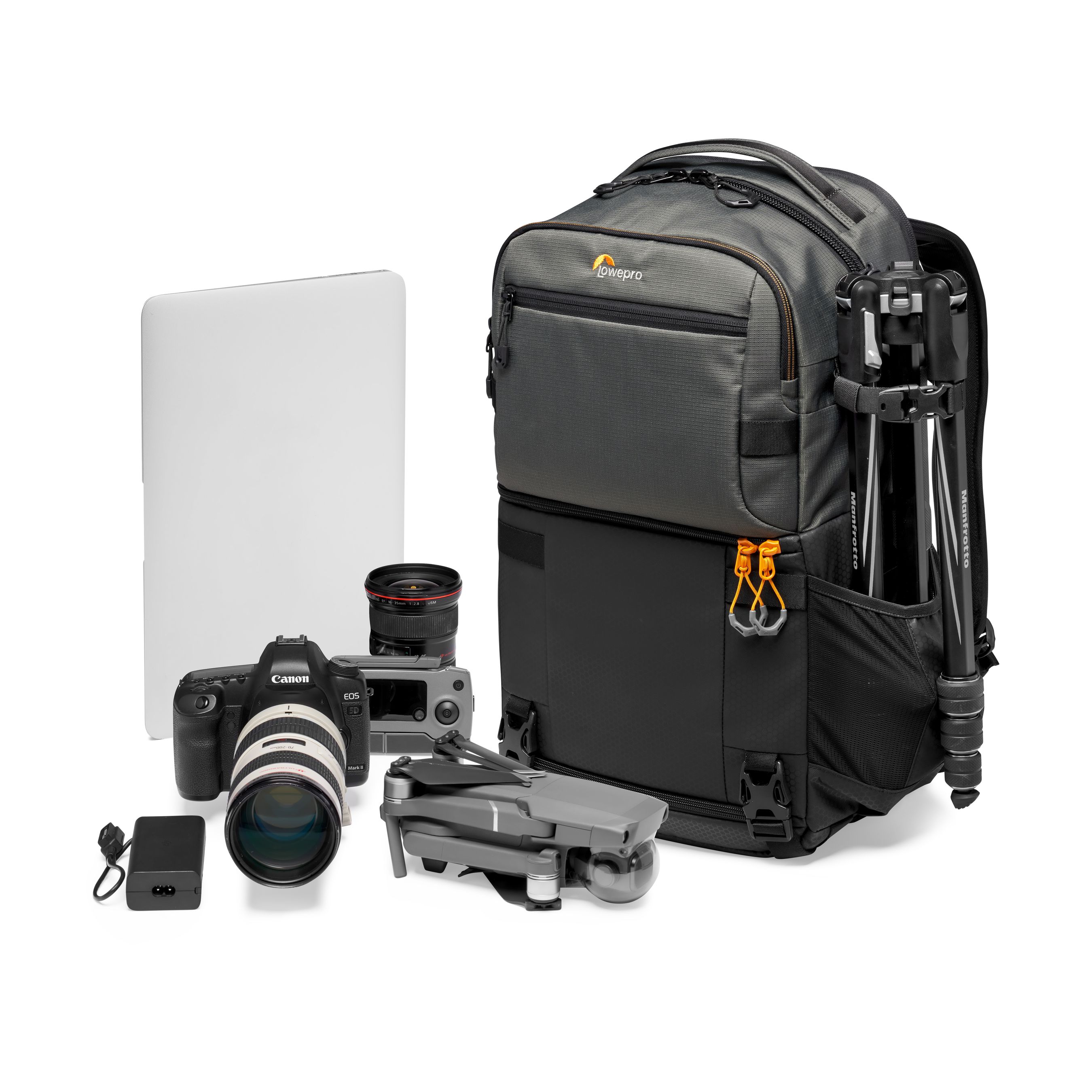 Lowepro Fastpack PRO BP 250 AW III gris