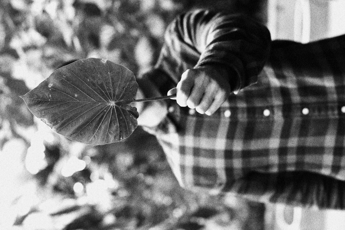 Canon EOS 1300D Body