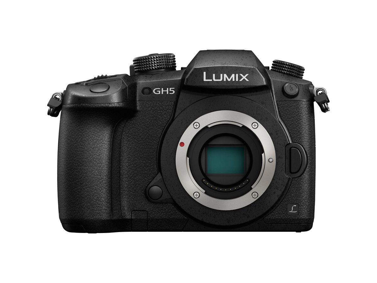 Panasonic Lumix DC-GH5EG-K Body black