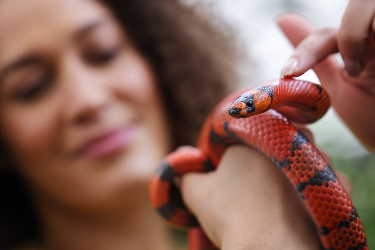 Canon RF 100mm f/2.8L Macro IS USM