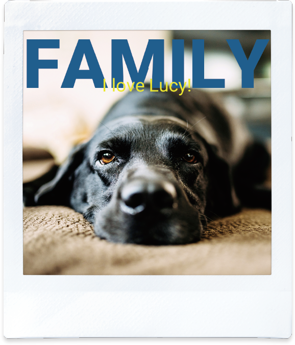 Fujifilm Instax Share SP-3 Black