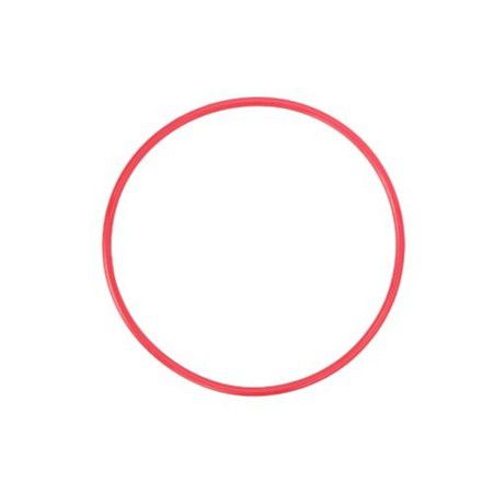 Olympus POL-050 O-Ring