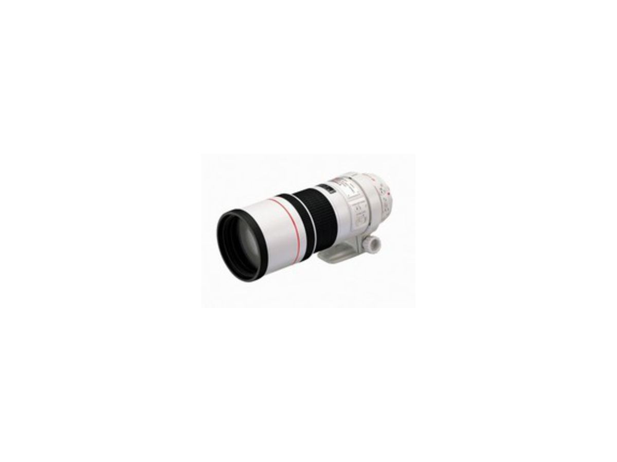 Canon EF 300mm 4.0L IS USM