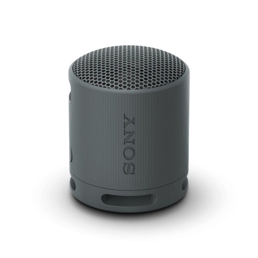Sony SRS-XB100 Speaker Black