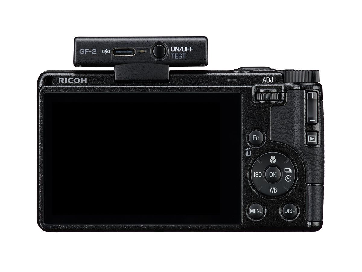 Ricoh Flash GF-2 WW