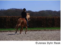 Fujifilm X-T100 Dark Sil. + XC 15-45mm