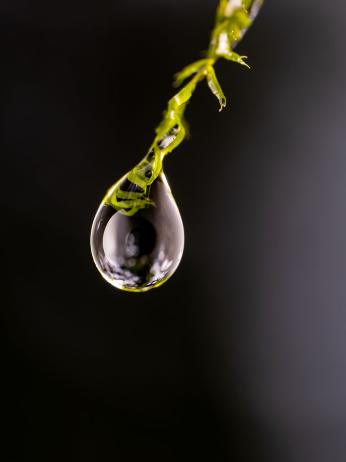 OM System M.Zuiko ED 90mm F3.5 Macro IS