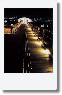 Fujifilm Instax Mini 90 brown