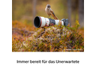 Sony FE 600mm F6.3 GM OSS
