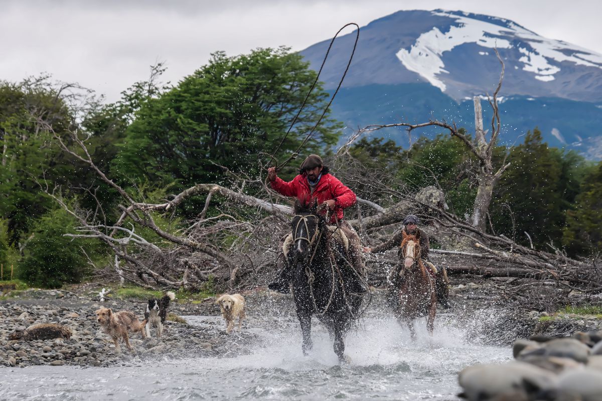 Panasonic Lumix S PRO 70-200mm F4 OIS