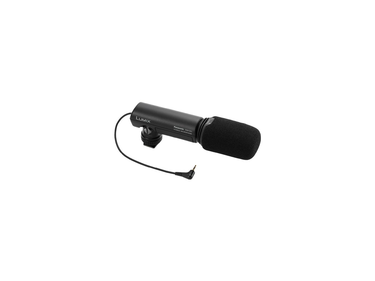 Panasonic Stereo-Microphone