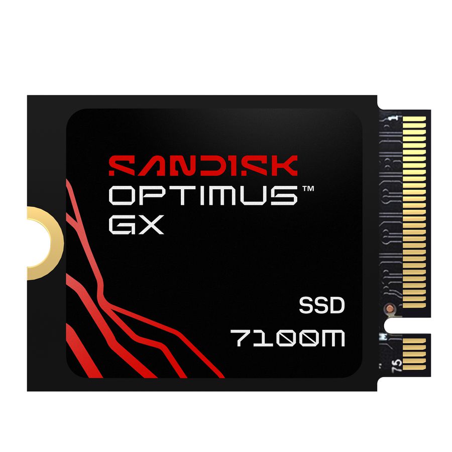 SANDISK Optimus GX7100M NVMe SSD 1TB