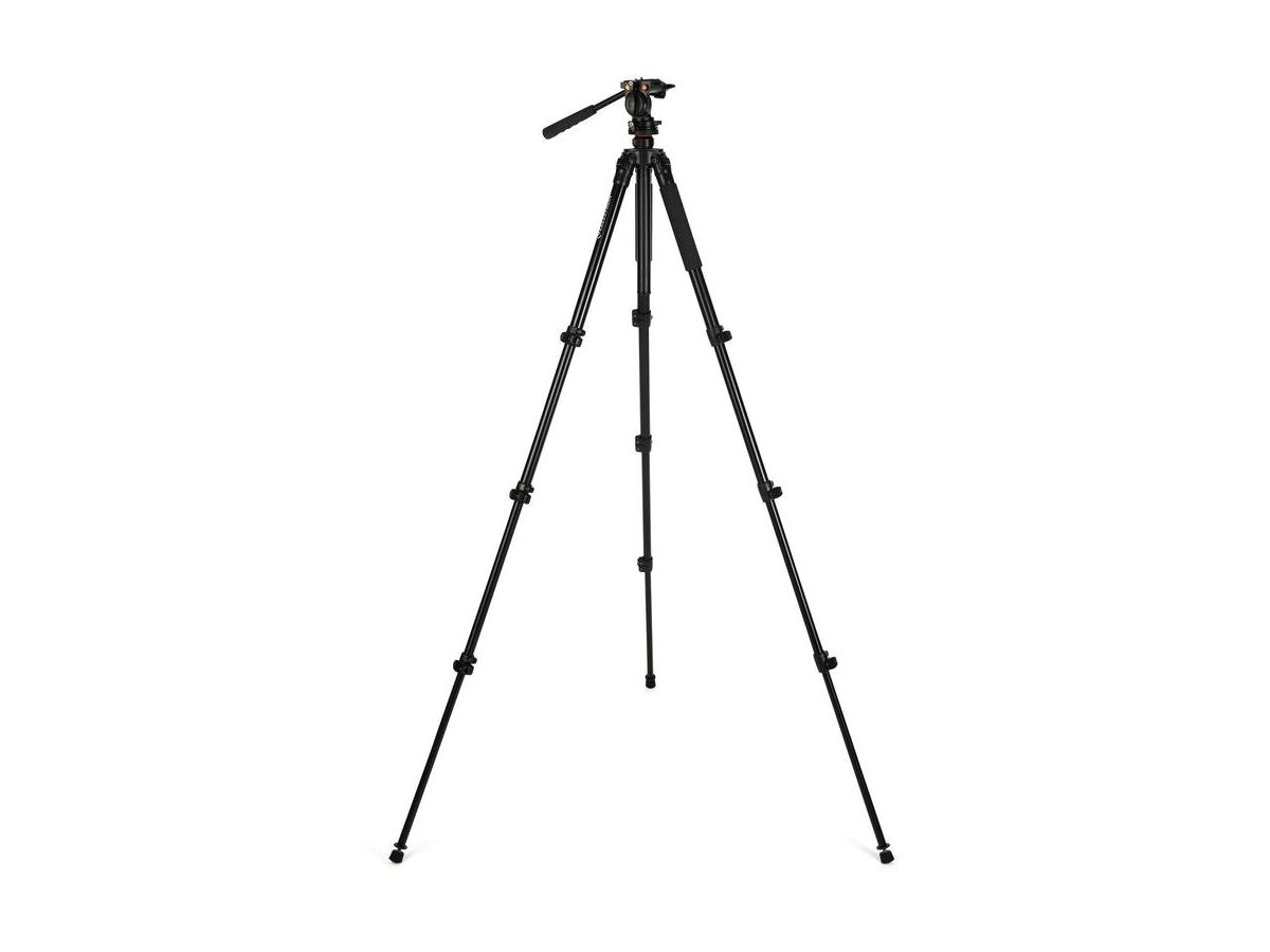 Celestron Stativ Regal Premium