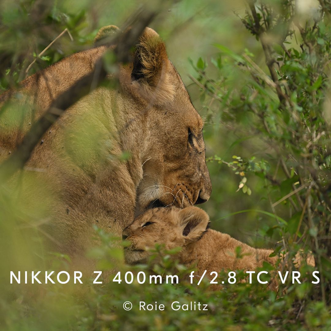 Nikkor Z 400mm f/2.8 S TC