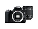 Canon EOS 90D + 18-55mm 3.5-5.6 IS II