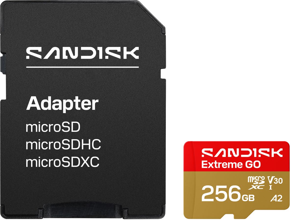 SANDISK Extreme GO microSDXC 256GB