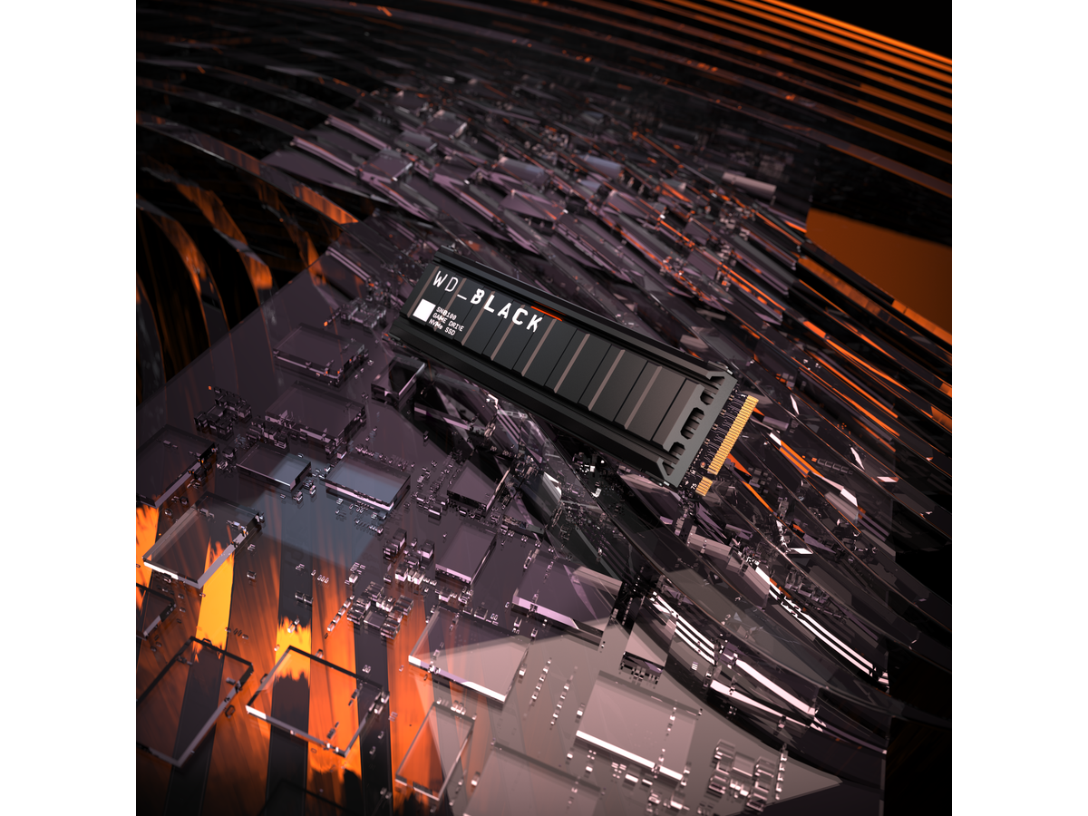 WD BLACK SN8100 SSD 4TB Heatsink