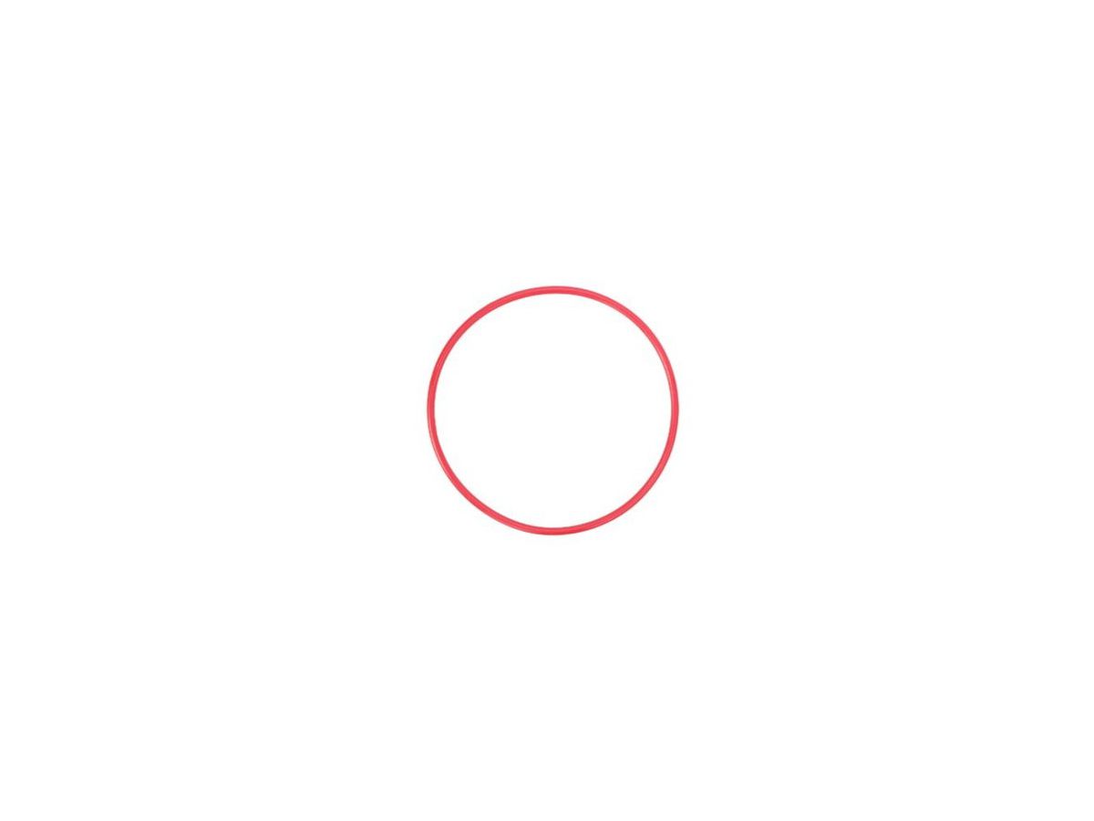 Olympus POL-050 O-Ring