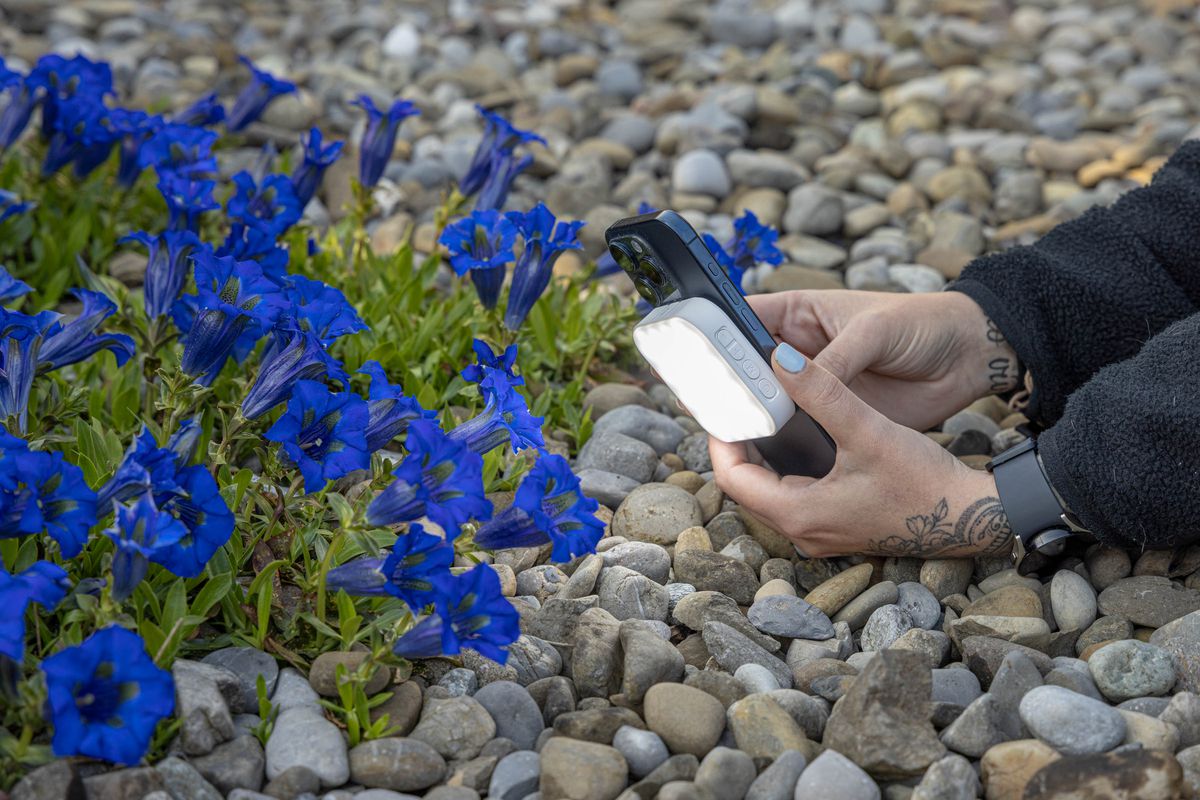 Patona Mobile LED 76 Magsafe Leuchte