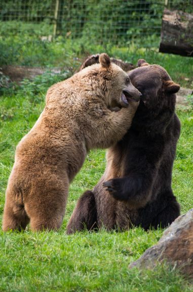 Pentax objectif smc DA 50-200mm ED WR