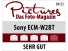 Sony ECMW2BT sans fil Microfone