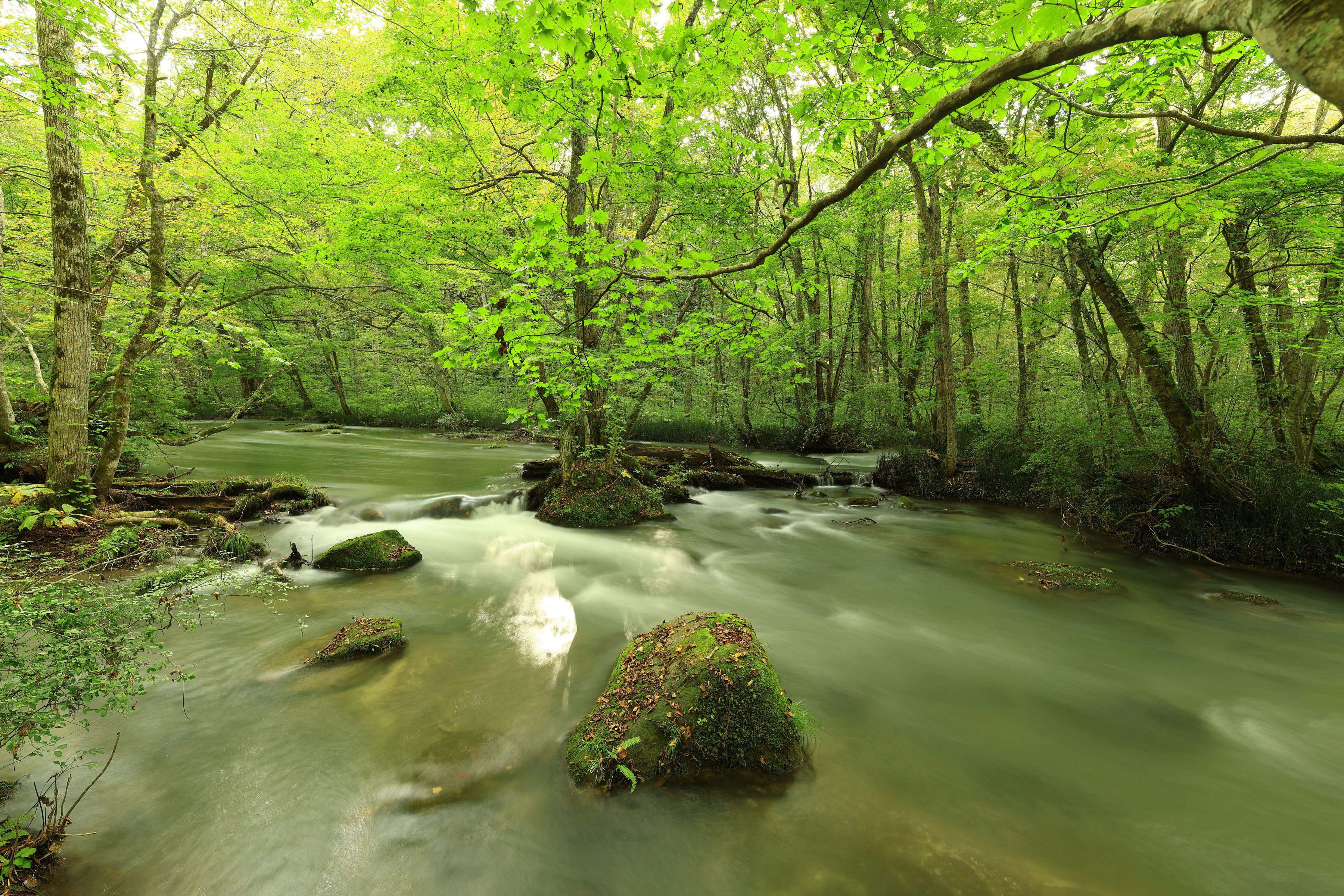 Canon RF 14mm F1.4L VCM