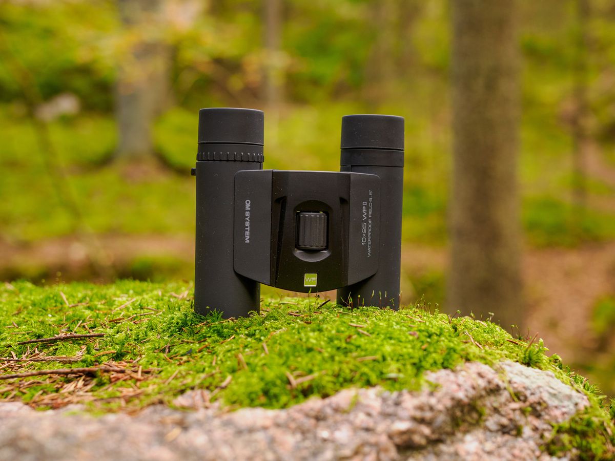 OM System 10x25 WP II Black