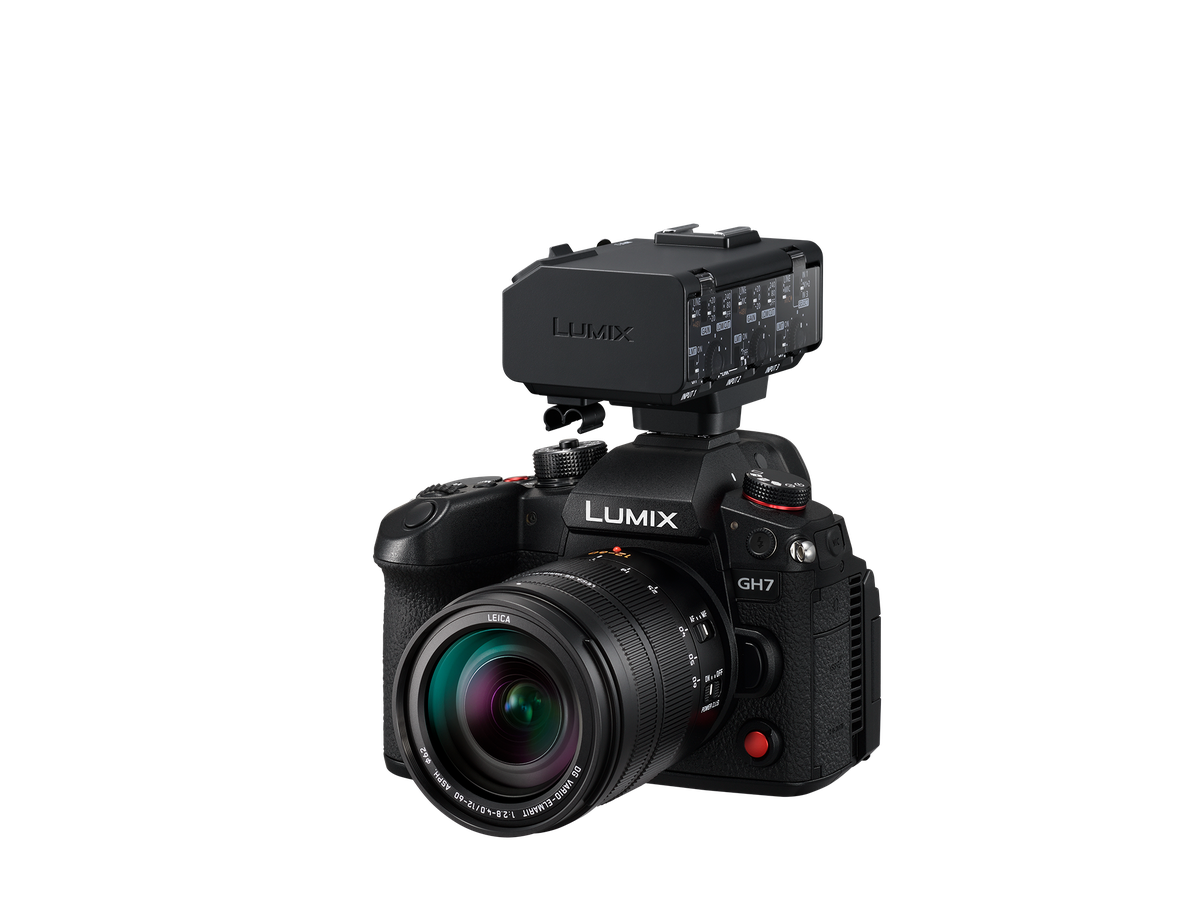 Panasonic DMW-XLR2E Video Interface