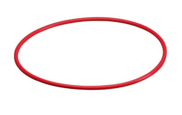 Olympus POL-U1 O-Ring pour UFL-1