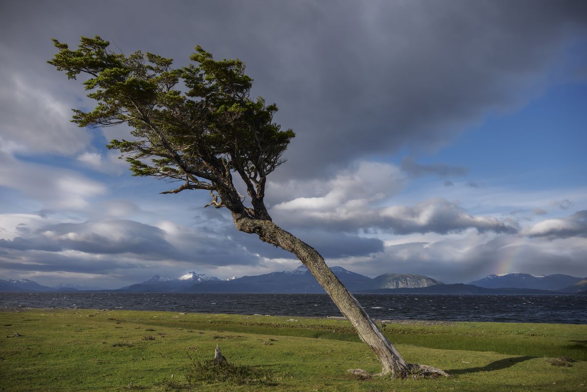 Panasonic Lumix S 24-105mm F4.0 Makro