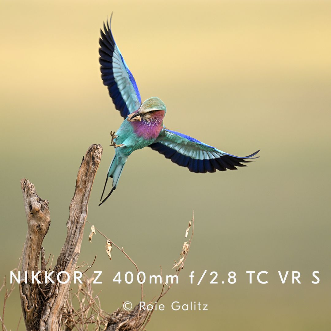 Nikkor Z 400mm f/2.8 S TC