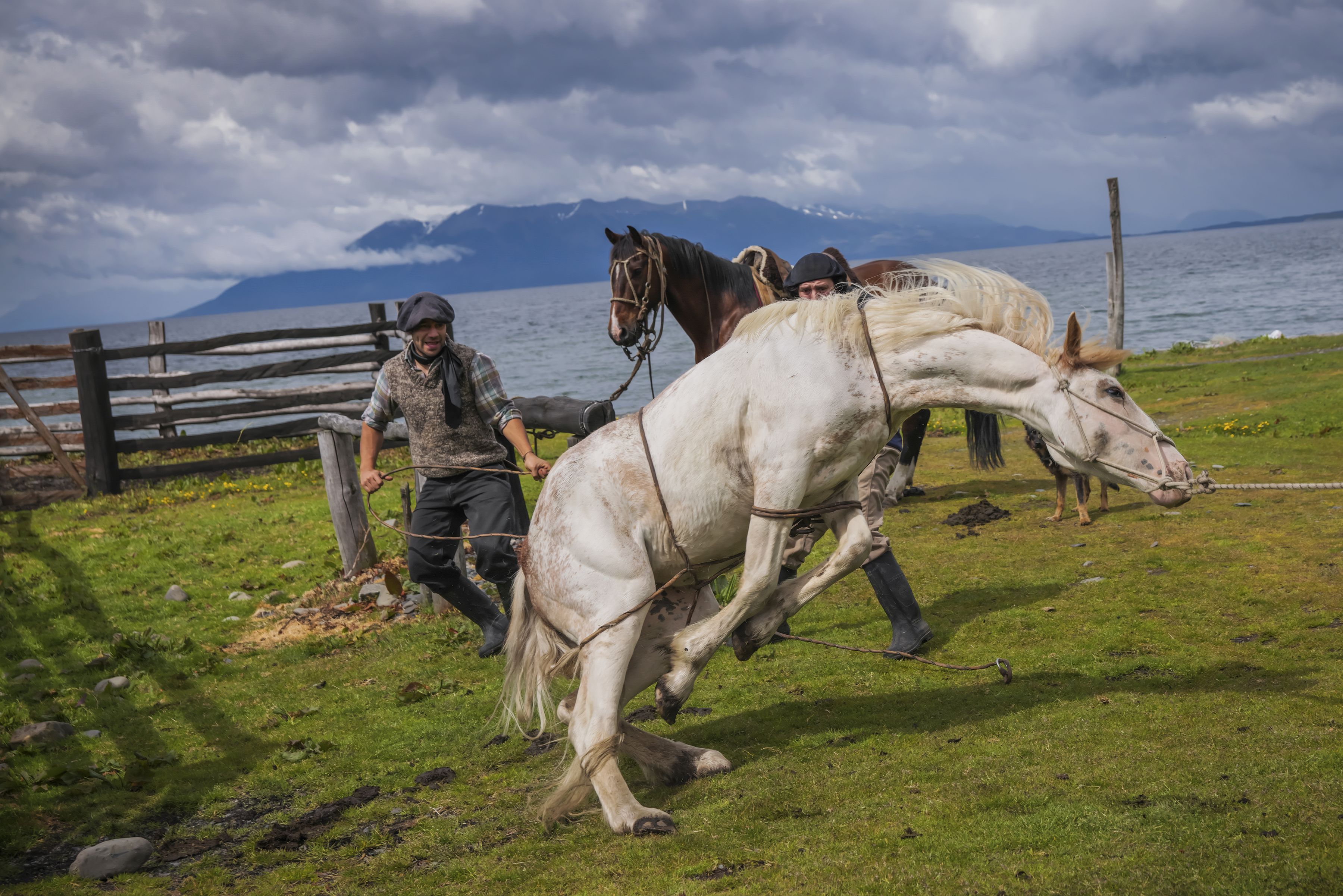 Panasonic Lumix S1R Body