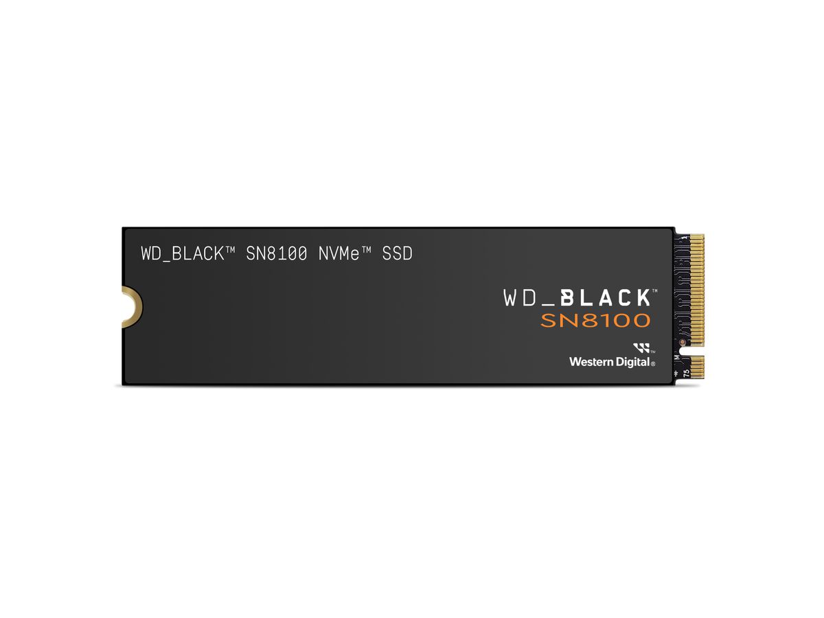 WD Black SN8100 NVMe SSD 4TB