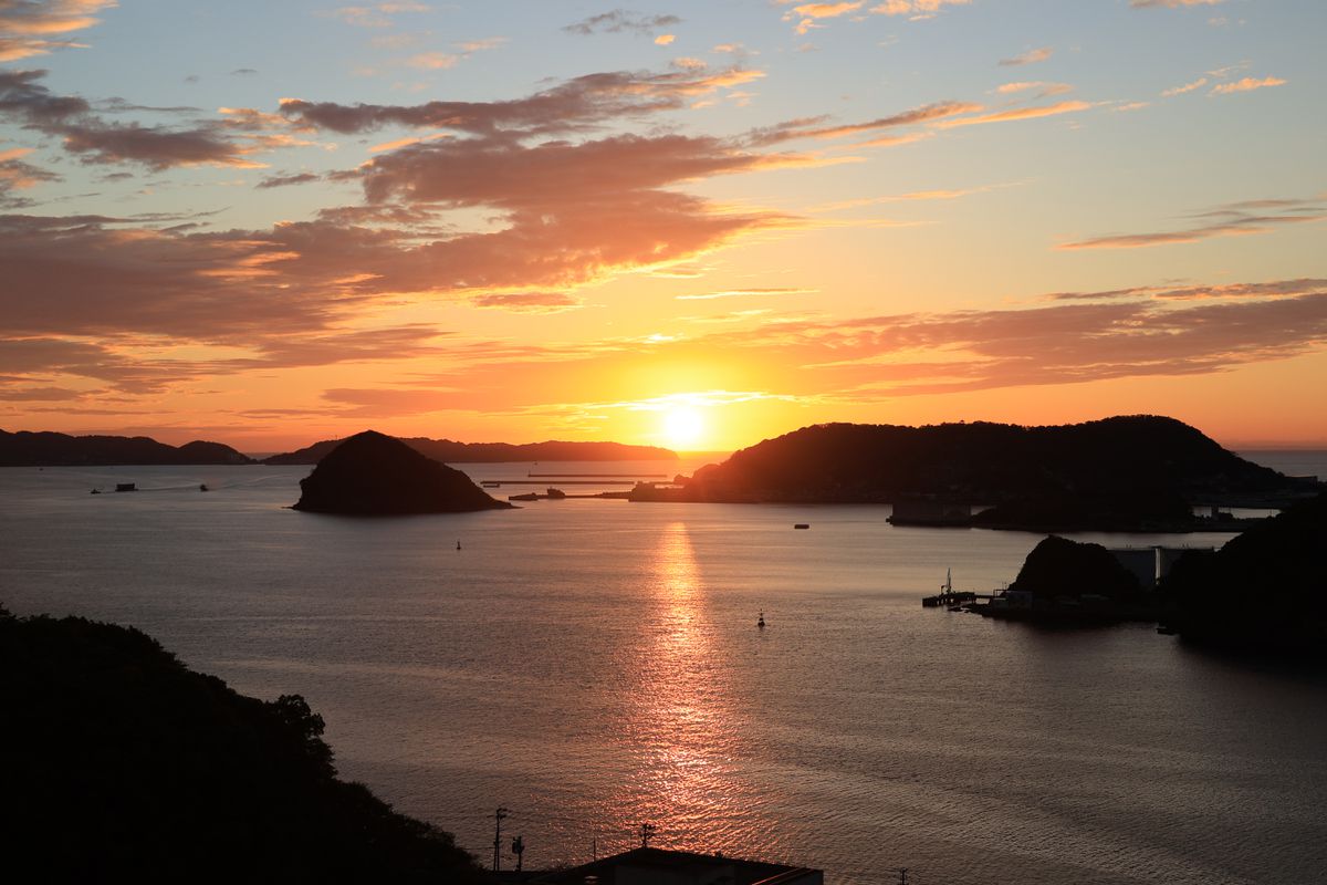 Canon RF 24-50mm f/4.5-6.3 IS STM