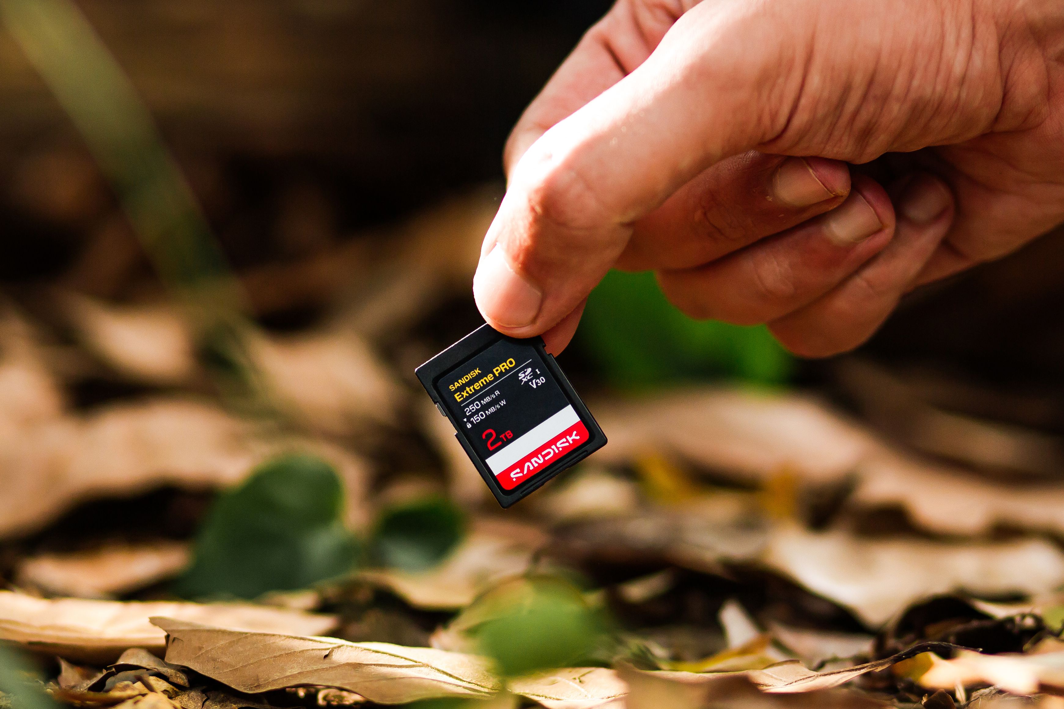 SANDISK Extreme PRO 250MB/s SDXC 1TB