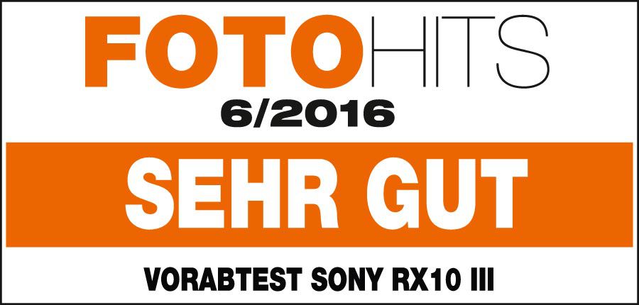 Sony DSC-RX10 Mark III 24-600mm (25x)