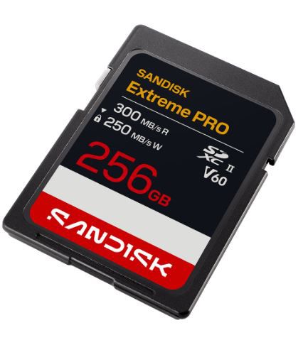 SANDISK Extreme PRO 300MB/s SDXC 256GB