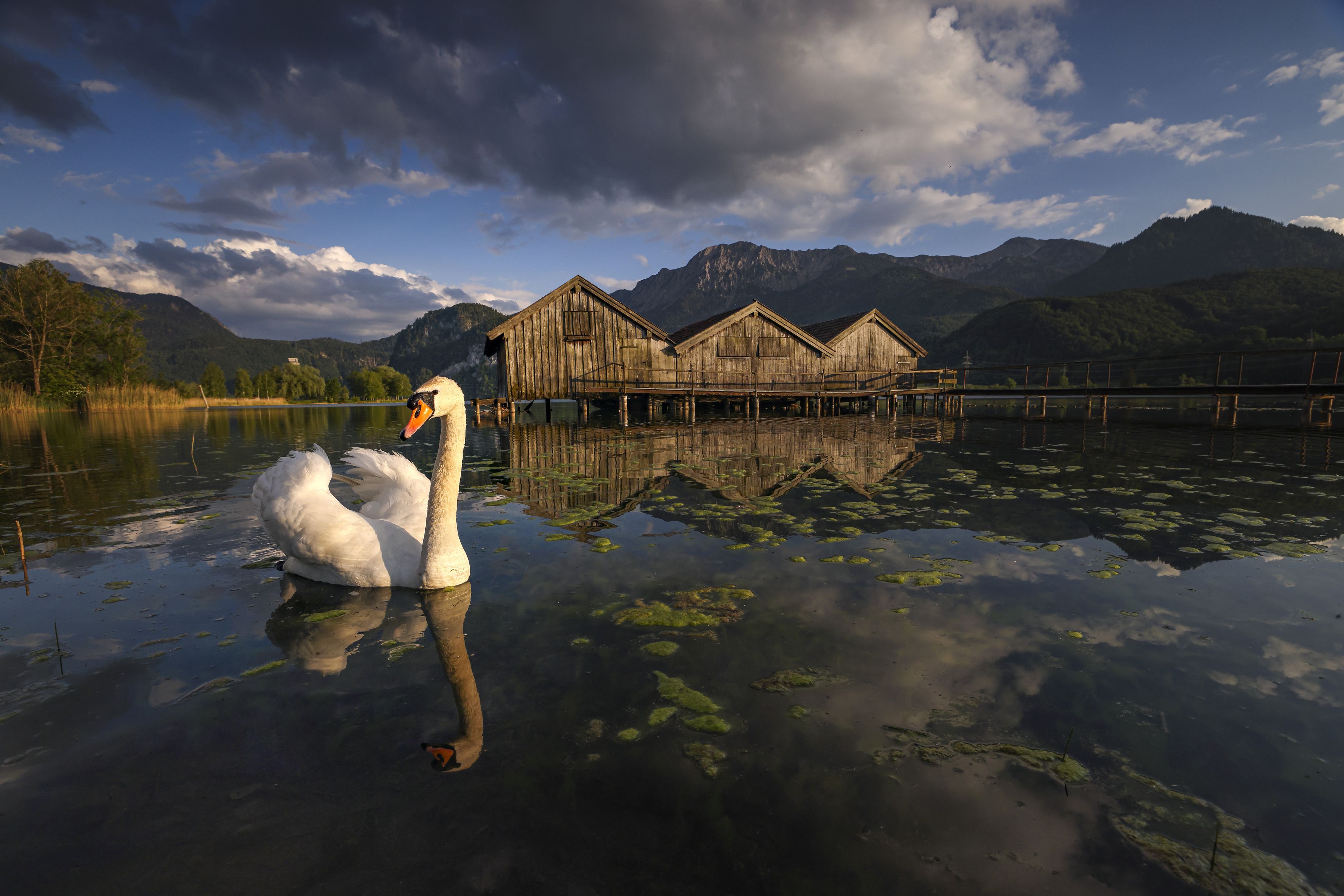 Canon EOS R5 Boitier