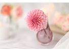 Canon RF 85mm F1.4L VCM