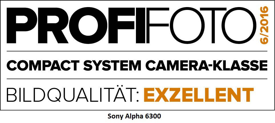 Sony Alpha 6300 Set 16-50mm P Black