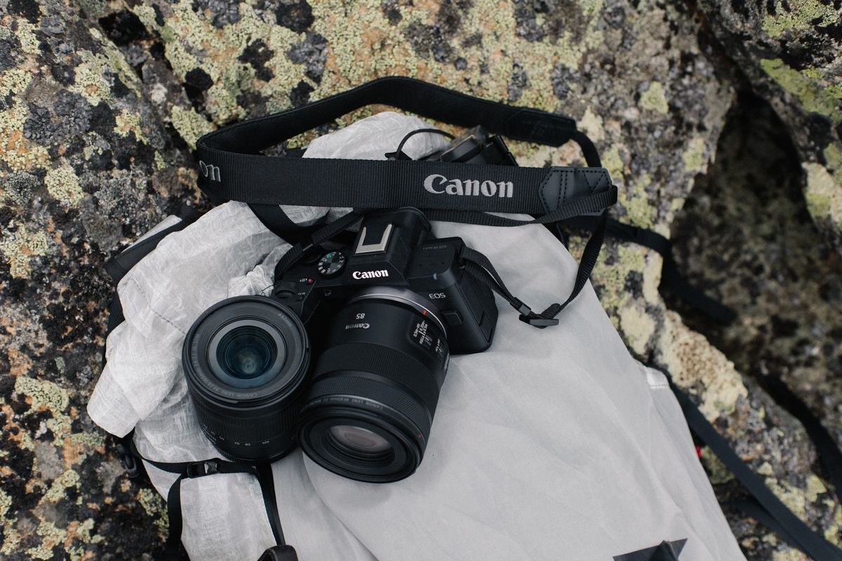 Canon EOS R8 Mark II Body