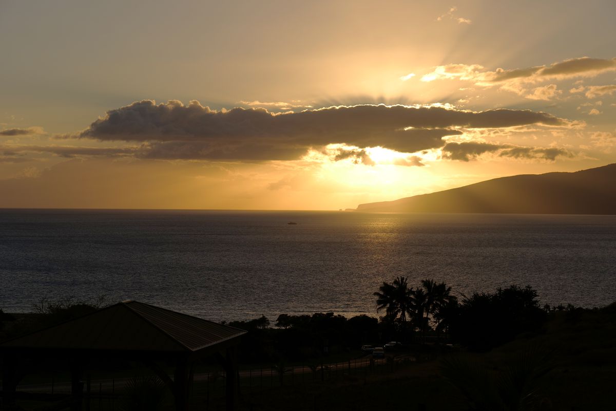 Panasonic Lumix S1 Body