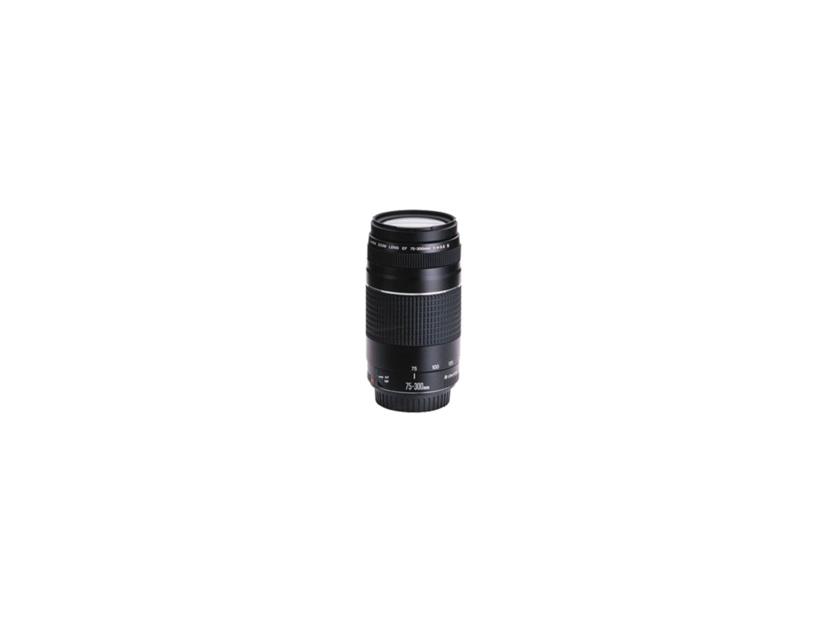 Canon EF 75-300mm 4.0-5.6 USM III